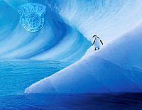 643_Alexey_Suloev_The Solitude-Antarctica.jpg