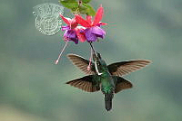 643_Olga_Sizova_Breakfast for two.jpg