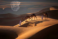 682_Mohammed_Muhtasib_Badia Desert 4.jpg