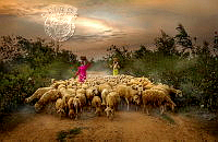 704_Doan_Hoai Trung_Bringing Sheep to the barn.jpg