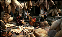 704_Le_Duc Toai_Traditional craft villages.jpg