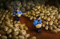 704_Nguyen_Canh Hung_Traditional job.jpg