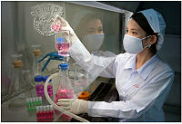 704_Nguyen_Huu Hong_Check the sterility of the product.jpg