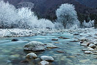 705_Tanja_Gorjan_Frozen land of river Soca.jpg