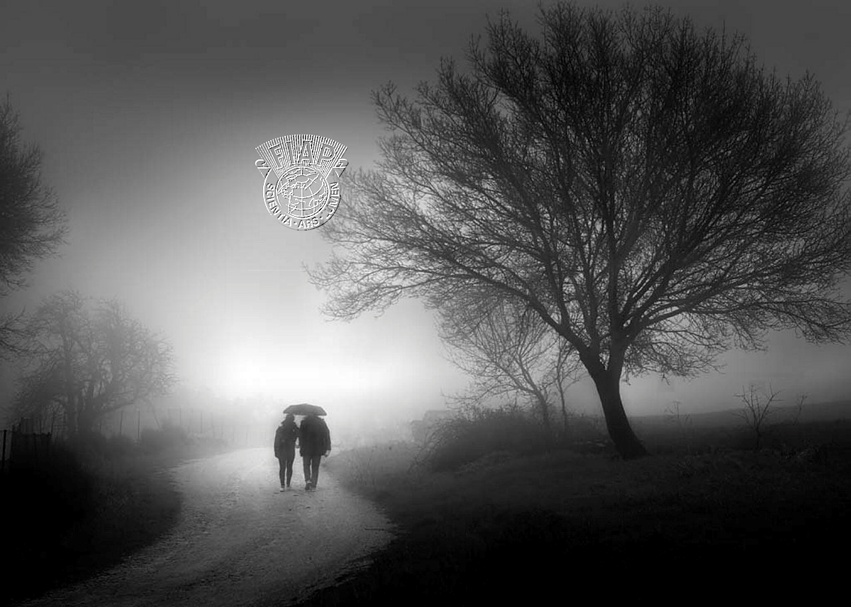 724_Fernando_Morales_Clavijo_Bajo la niebla.jpg