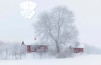 752_Allan_Wallberg_Red Cottages.jpg