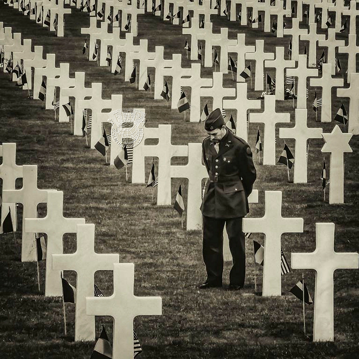 756_Alain_Marchand_Tribute to fallen.jpg