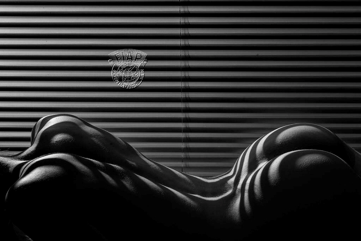756_Martin_Zurmuhle_Body and Stripes III B&W.jpg