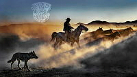 792_METIN_GONEN_AT_TERBIYECISI.jpg