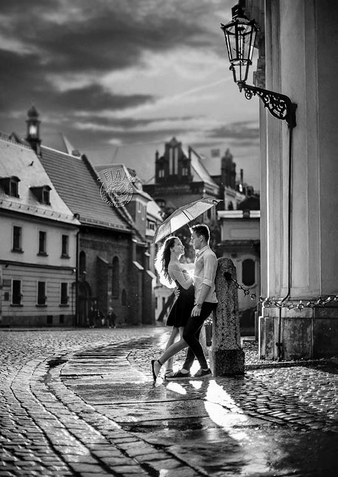 804_Irina_Skripnik_Nothing Like the Rain.jpg