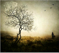 826_Bob_Bishop_Out on the Moor.jpg