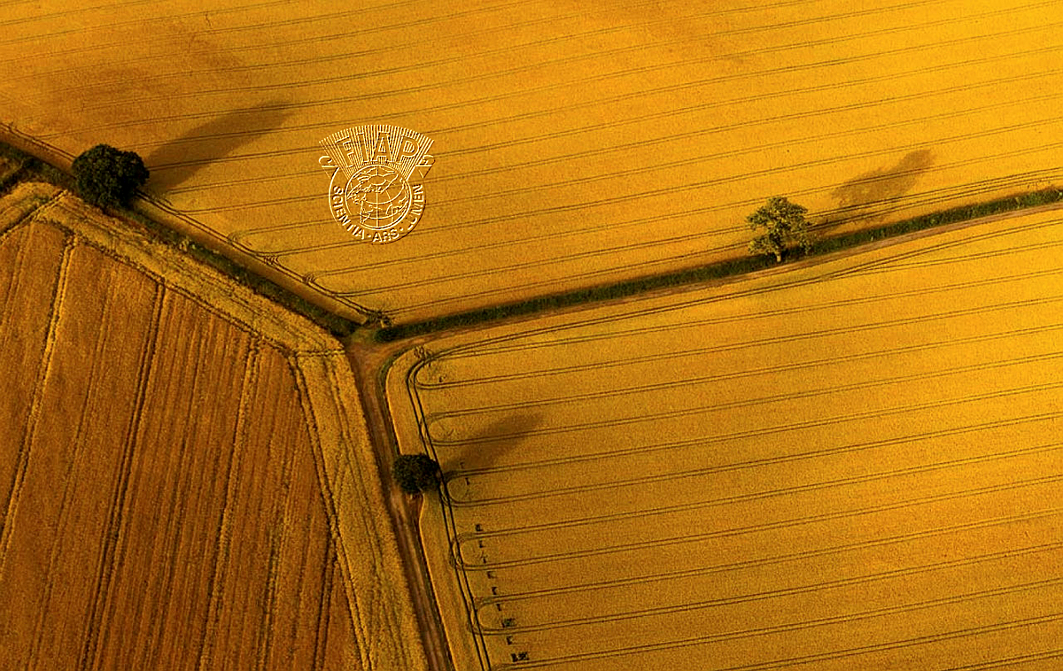 826_Des_Ward_Modern Farming.jpg