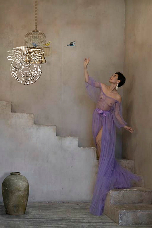 826_Eileen_Murray_Reunion .jpg