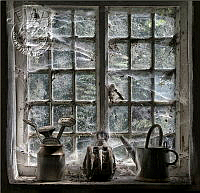 826_Linda_Gates_Cobwebs In The Potting Shed.jpg