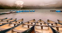 840_Barbara_Kuebler_Boats on Cameron Lake.jpg