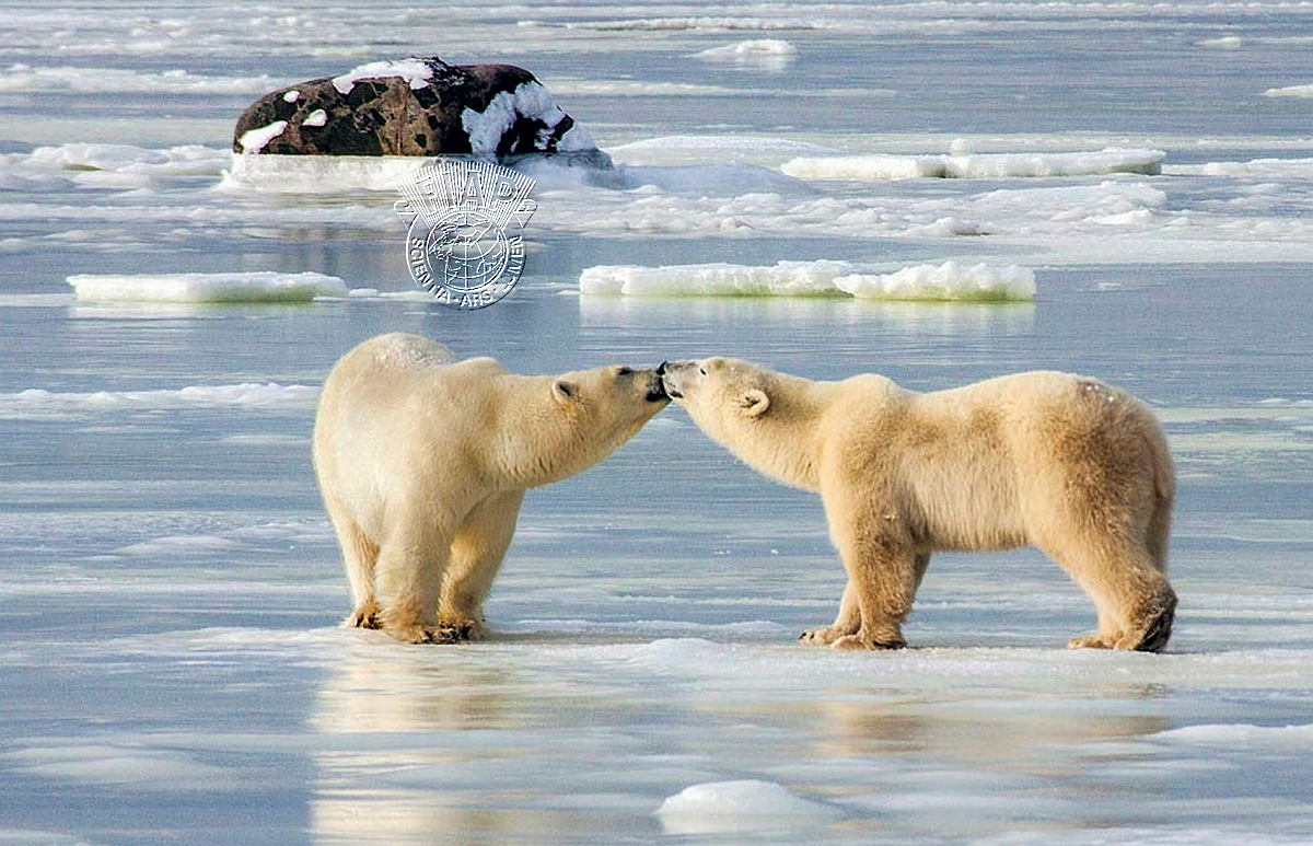840_Gerald_H_Emmerich_Jr_Meeting on Hudson Bay.jpg