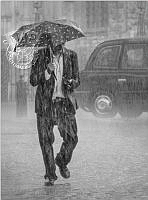 952 Nick Craddock_London rain.jpg