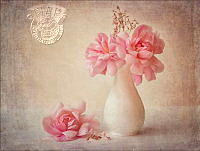 952_Christine_Tidman_Three pink roses.jpg