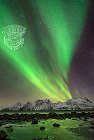 036_Mieke_Boynton_Norwegian Lights.jpg