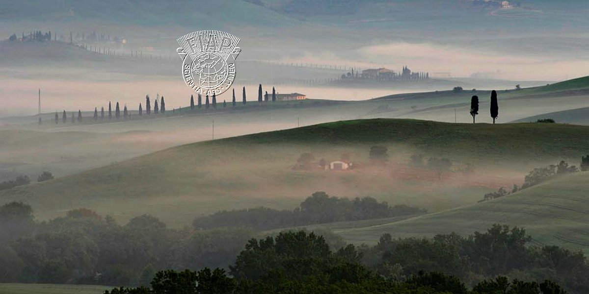 203_PETR_STRBACKA_TUSCANY 2011 FOGS.jpg