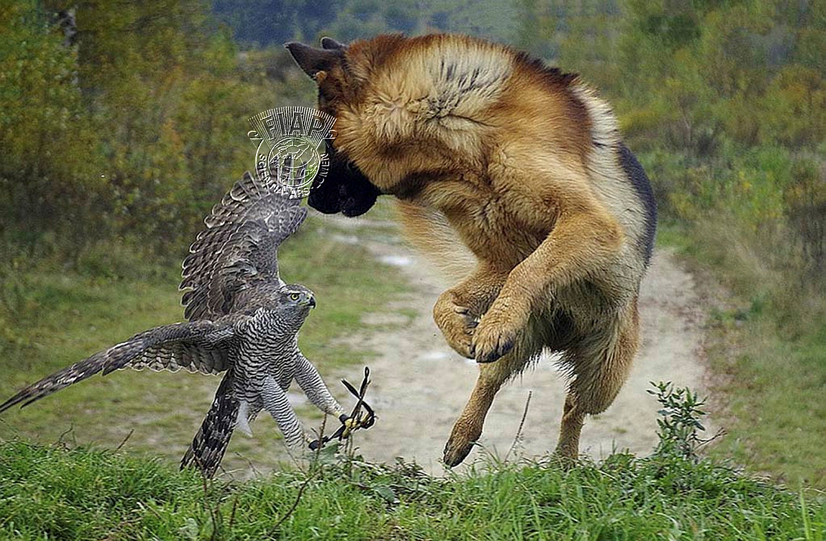 410_Lee_Jongil_Fighting.jpg