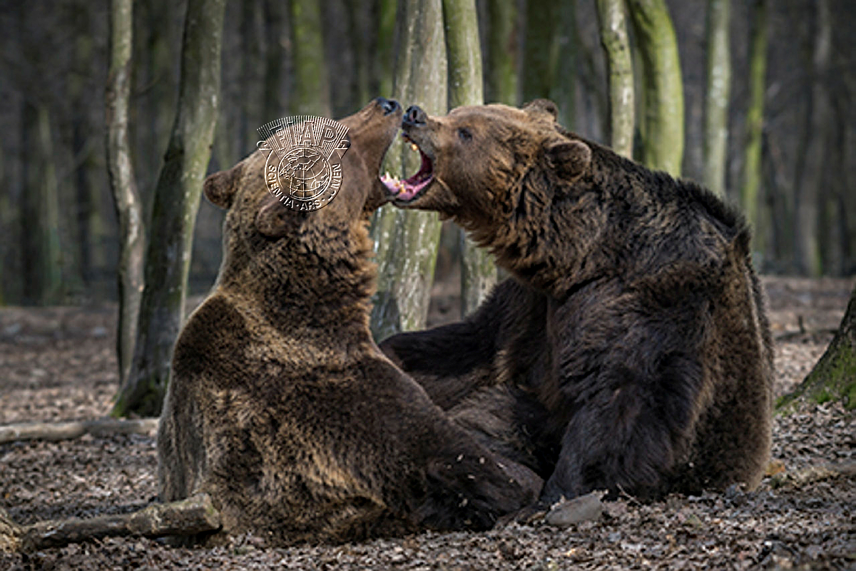 642_Vajnar_Iosif_Disagreement.jpg