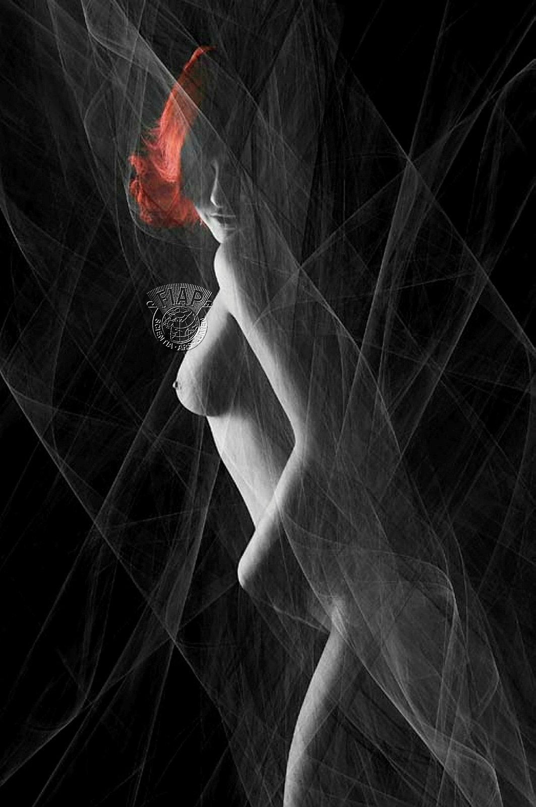 688_Djordje_Vukicevic_Redhead.jpg