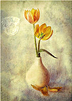 826_Elizabeth_Brown_Fading Tulips.jpg
