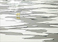 826_Keith_Snell_Polar Bear On Ice.jpg