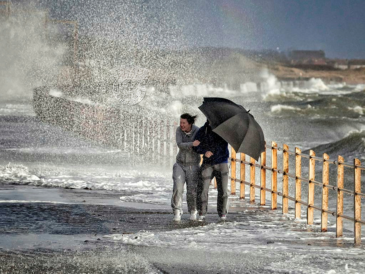 950_Bill_Terrance_Storm Lashed.jpg