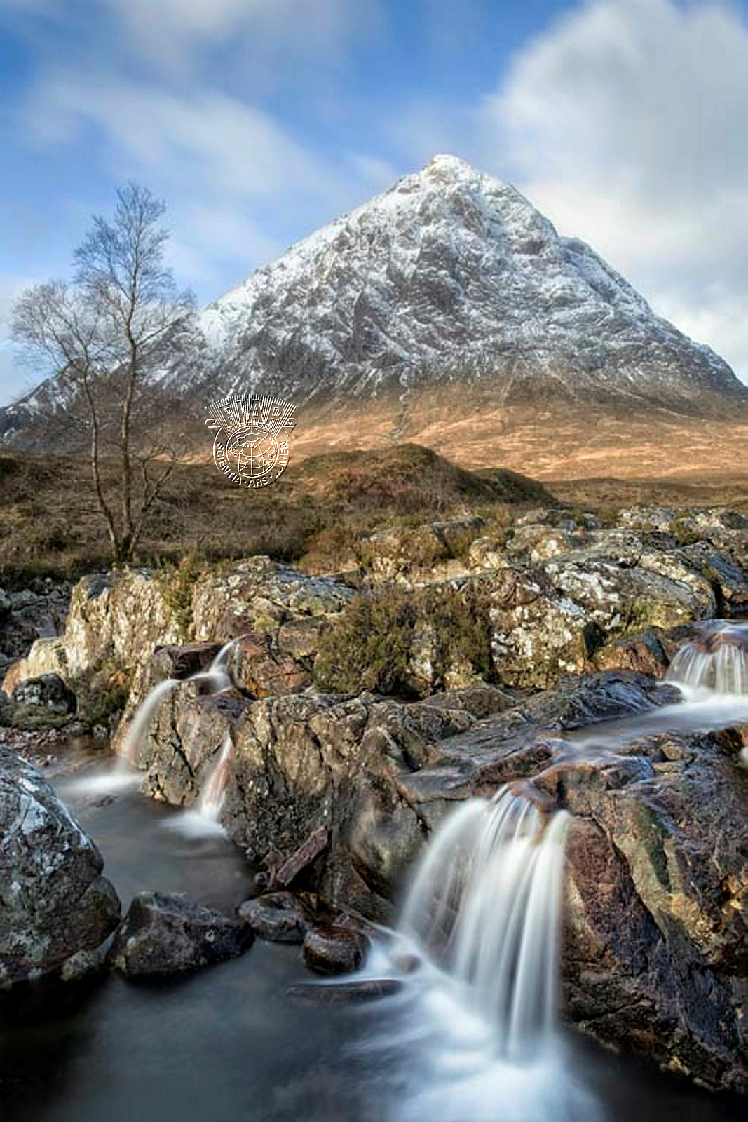 950_Gaille_Gray_The Buachaille.jpg