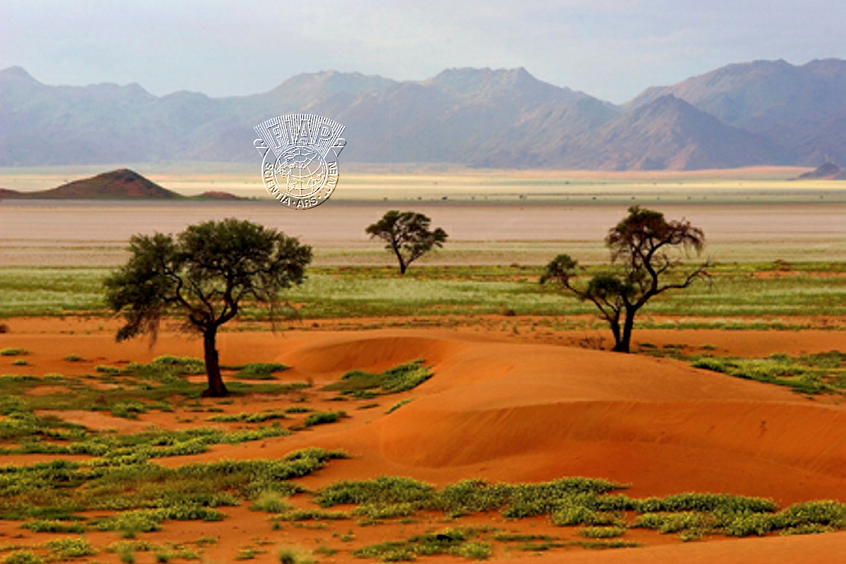 A03_Mari_Hanni_Three Trees on Dunes.jpg