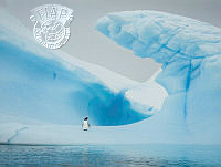 A05_Craig_Parker_All alone on an iceberg.jpg