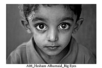 A08_Hesham M. Alhumaid_Big Eyes.jpg