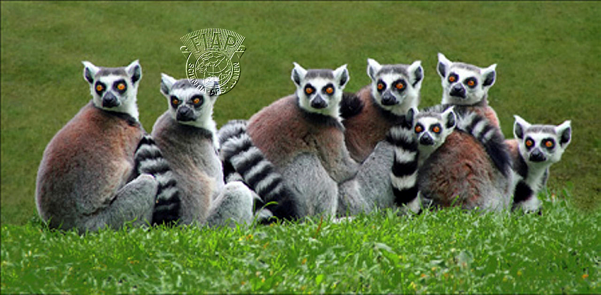 B01_MAES_Ingrid.7 in line.jpg