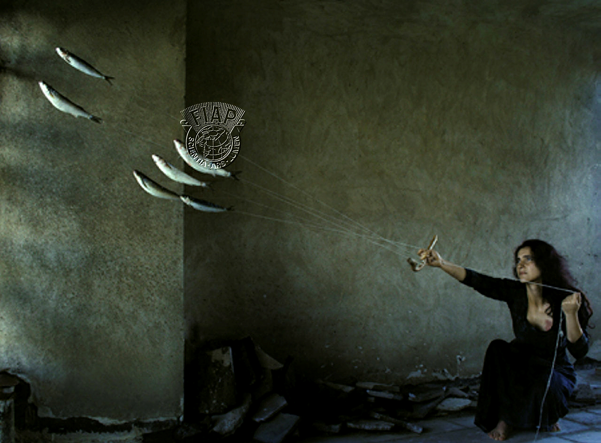 B08_Svetlan_Stefanov_Fish-Kite.jpg