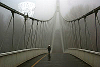 C08_Tomislav_Vukic_Escape from fog.jpg