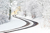 E01_Mike_Tibbs_The S Bend At Rosehaugh 2.jpg