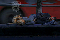 E04-YOUSEF-BIN SHAKAR ALZAABI-sleeping in street.jpg