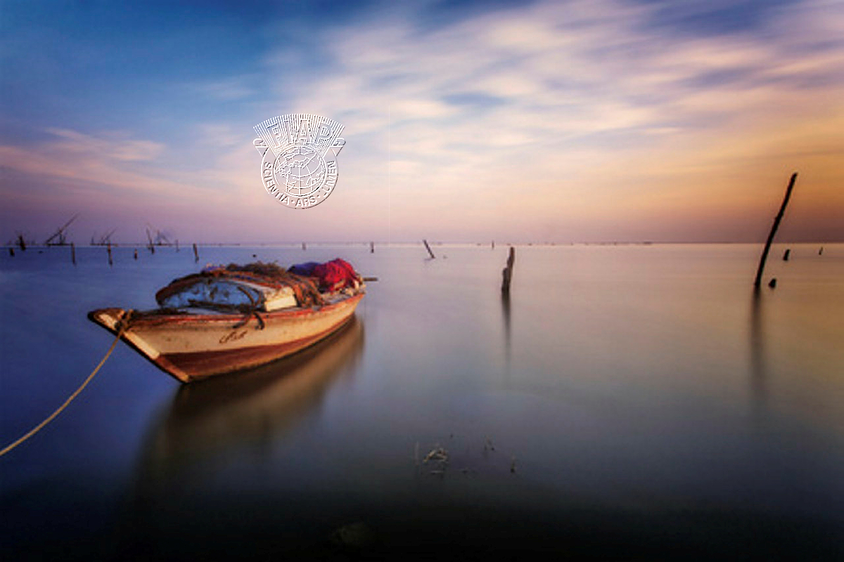 E05_Ahmed_Mahmmud_Abdulazim_Another Day Has Gone.jpg