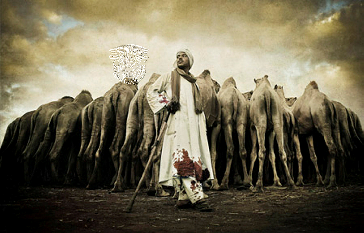 E05_Nader_Saadallah_Camels Keeper.jpg