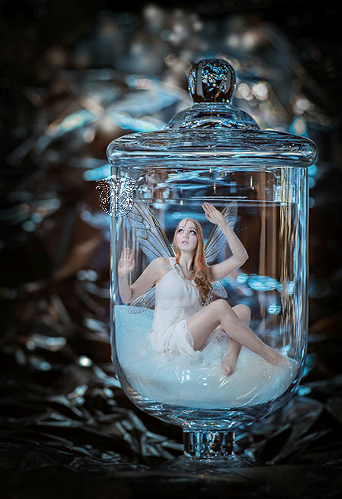F01_Merja_Martikainen_The captured dreams die.jpg