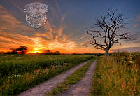 G02_Alan_Ranger_solstice solitude.jpg