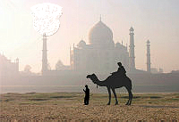G02_Bill-Wastell_Dawn at the Taj Mahul, India.jpg