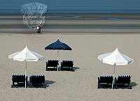 G02_Shirley_Hollis_A Quiet Stroll.jpg