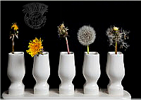 G04_Cliff_Emery_Life of a Dandelion.JPG