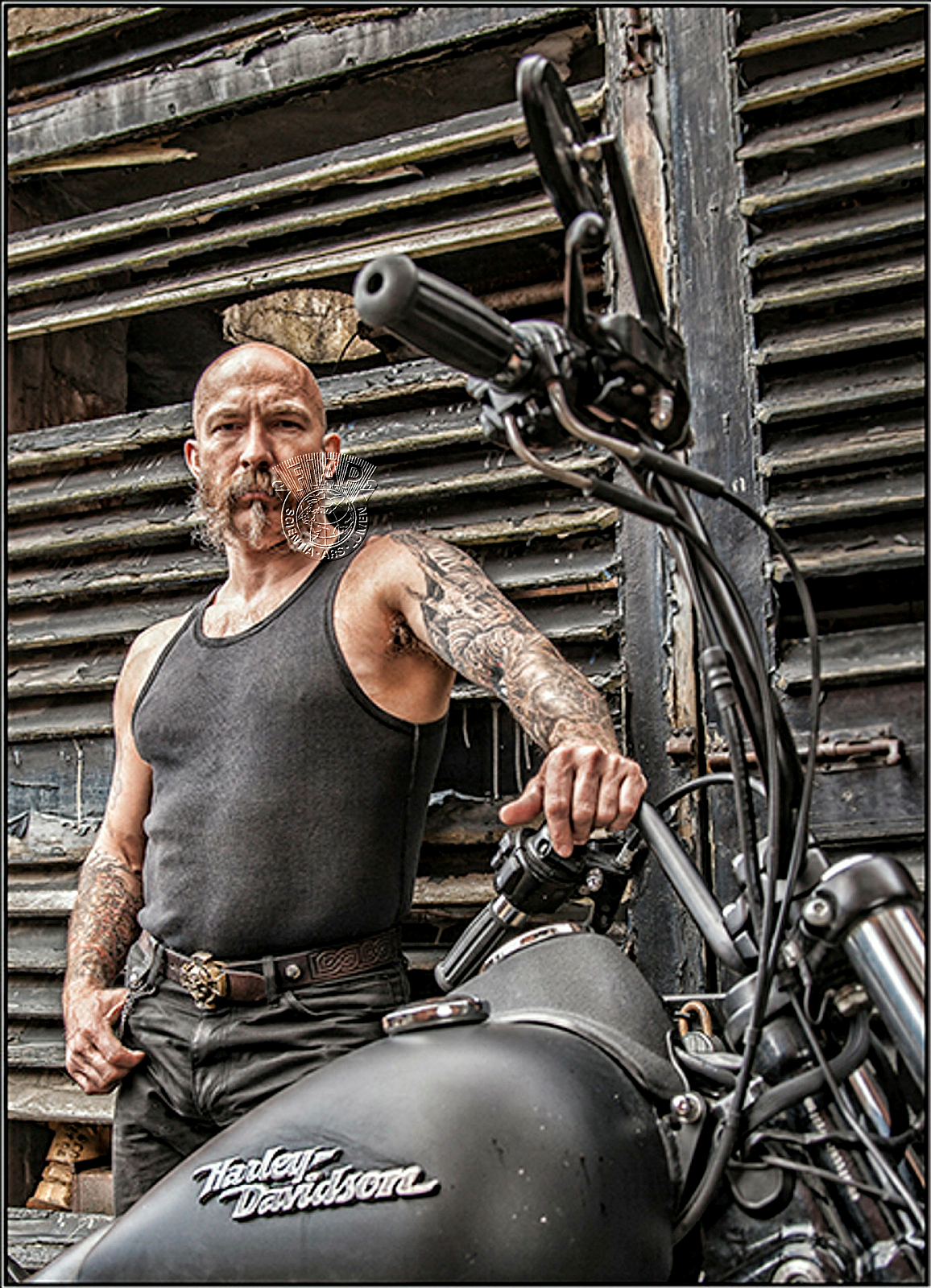 G04_Ian_Ledgard_My Harley.jpg