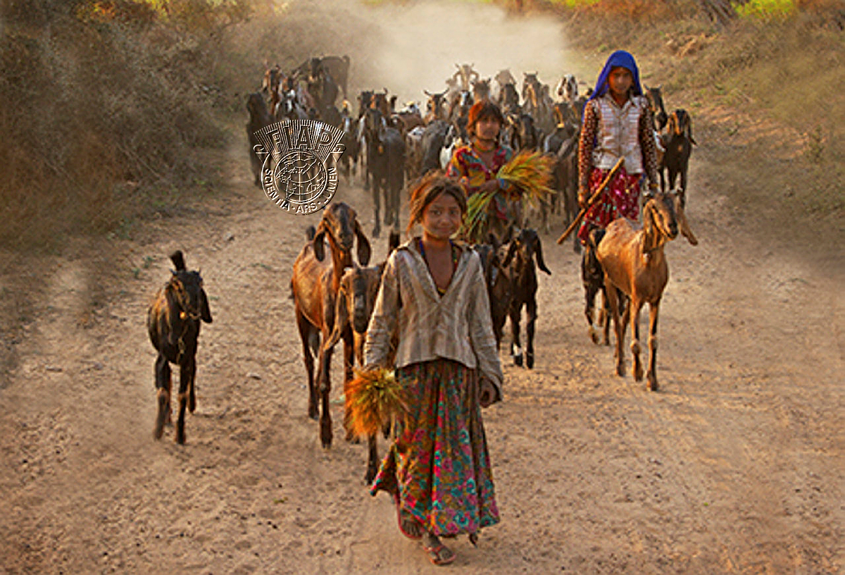 G3_Louis_Rumis_Goatherders evening sun.jpg