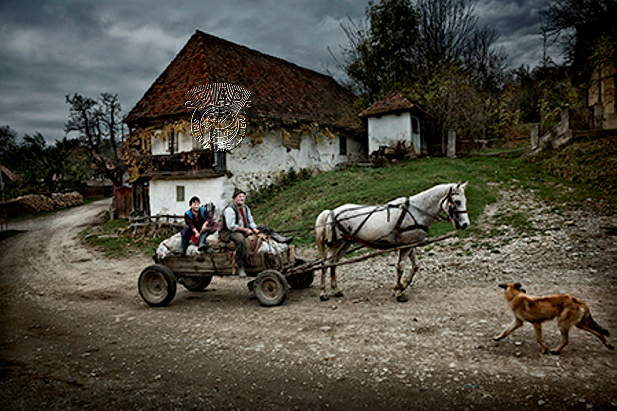 H03_Elek_Papp_Traffic jam.jpg