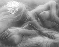 H03_Irene_Becker_The Veil.jpg